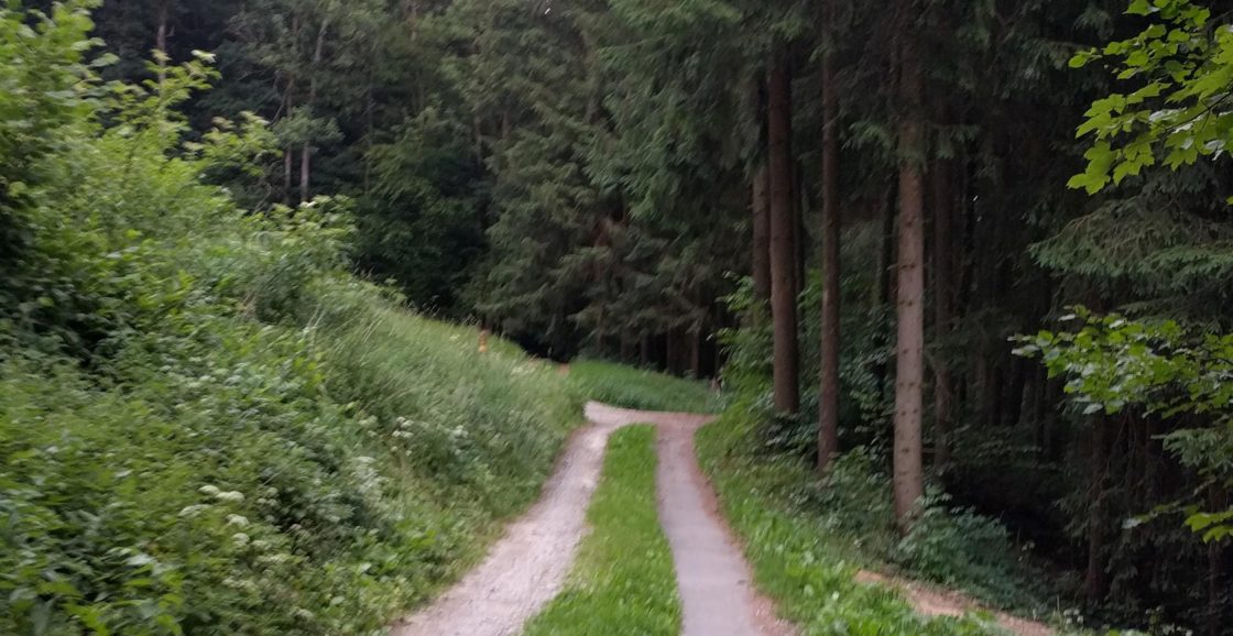 Businesslauf der Sternenbetriebe
